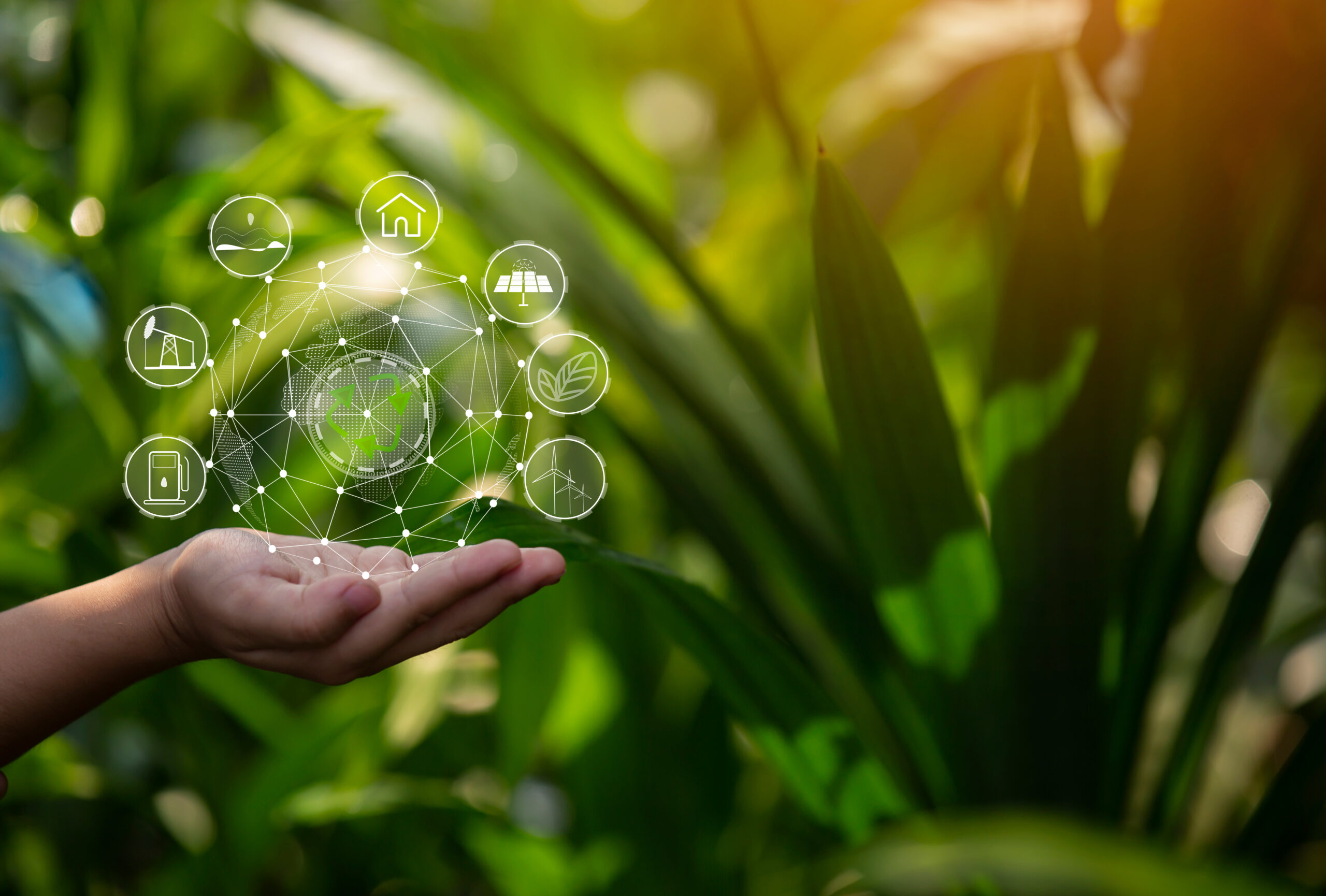 a person holding an illustration representing sustainable energy in front of vibrant, green plants